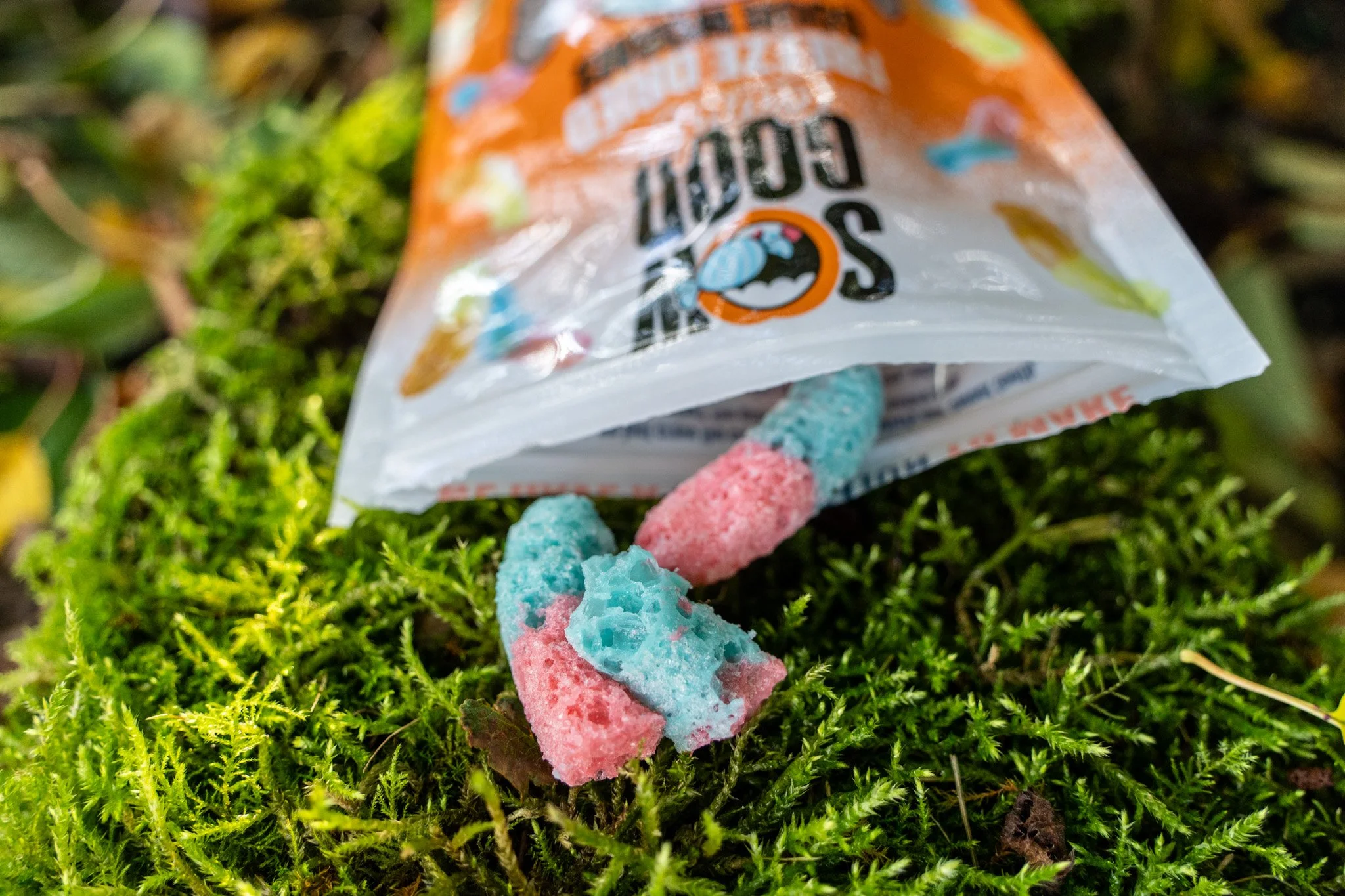 This candy sucks for mountain biking — About the Ride